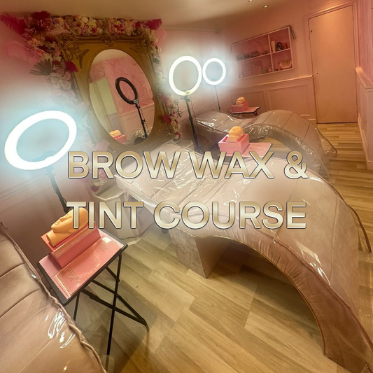 Brow Wax & Tint Course